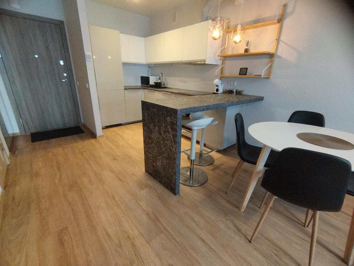 Castle Town Apartment Kaunas Exteriér fotografie